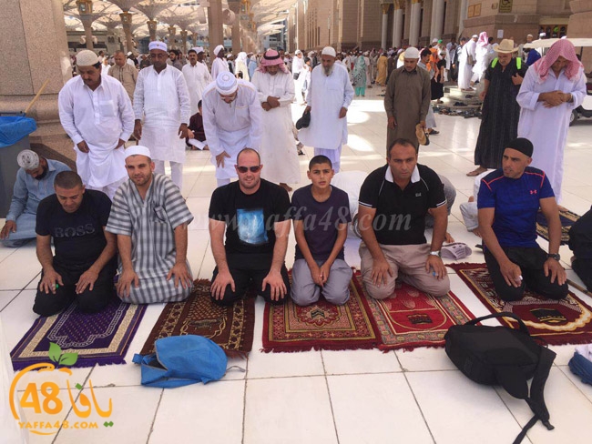 mo3tmren yaffaja (4).JPG